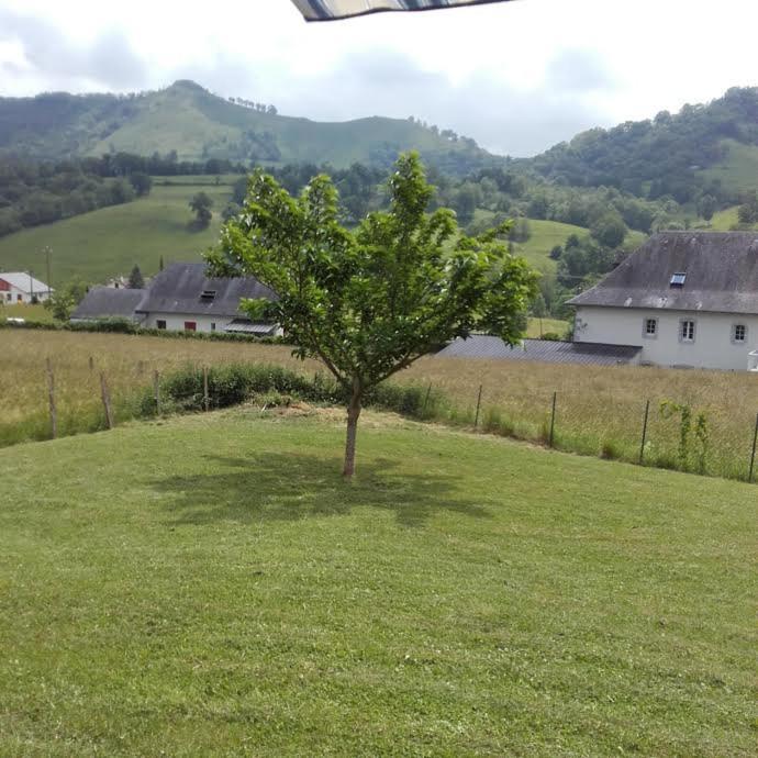 Gîte Etchegoyhen Lacarry-Arhan-Charritte-de-Haut Extérieur photo